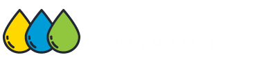 Carpet Cleaning Plympton