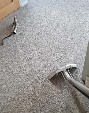 Professional Carpet Cleaning Services In Plympton